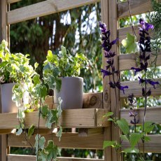 Forest Slatted Tall Wall Planter 1 Shelf - close up of shelves