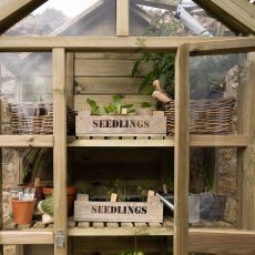 Forest Georgian Tall Wall Lean to Greenhouse with Auto Vent - close up of unpainted shelves