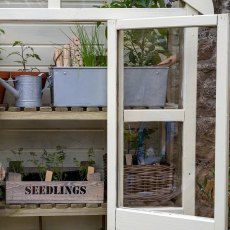 Forest Georgian Tall Wall Greenhouse with Auto Vent - close up of painted shelves and door