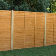 6ft High Forest Straight Edge Lap Panel - insitu with concrete posts
