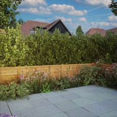 3ft High Mercia Superlap Fencing Panel Packs - Pressure Treated - insitu