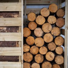 4x4 Forest Corner Log Store - Pressure Treated - close up of front elevation