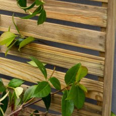 2ft High Forest Slatted Trellis - Close Up