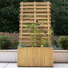 1 x 3 (0.39m X 0.90m) Forest Living Screen Planter - In Situ