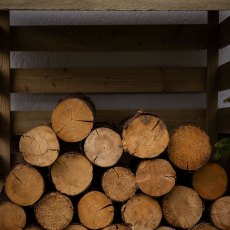 3 x 3 Forest Compact Pent Log Store - Close Up Frontal View