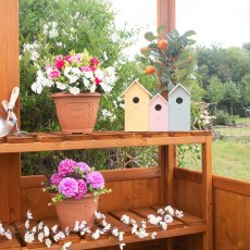 6 x 4 Shire Holkham Wooden Greenhouse - bench