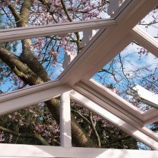 6x4 Shire Holkham Wooden Greenhouse - in situ, internal roof view