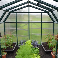 8x8 Palram Canopia Hobby Gardener Greenhouse - in situ, internal back view