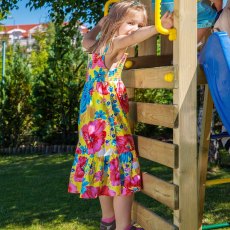 Shire Adventure Peaks Climbing Tower Fortress 1 - in situ, ladder