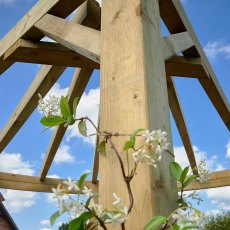 9x9 Forest Premium Radial Wooden Garden Corner Pergola - close up of the robust posts
