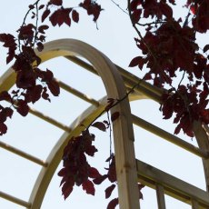 Grange Elite Garden Arch - close up of top part of the arch