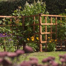 6 X 6 Rowlinson Heavy Duty Trellis - in situ