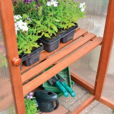 4x2 Rowlinson Hardwood Mini Greenhouse - in situ, shelf