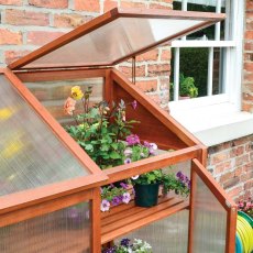 4x2 Rowlinson Hardwood Mini Greenhouse - in situ, vent