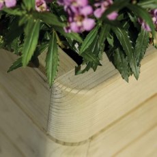 Rowlinson Marberry Rectangular Planter - Pressure Treated - in situ, corner