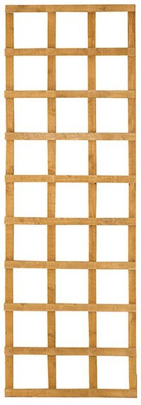 2ft by 6ft (300mm x 1830mm) Forest Heavy Duty Trellis