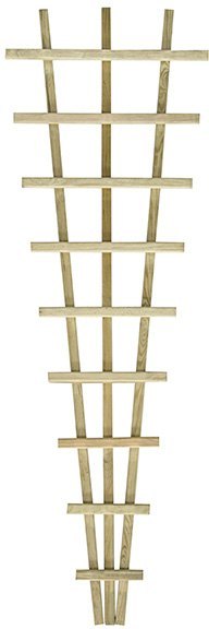 Forest Traditional Fan Trellis 180 x 60cm