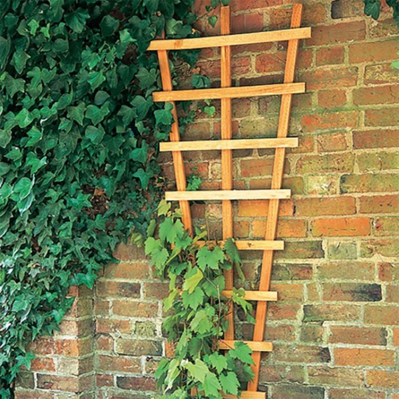 Forest Heavy Duty Fan Trellis mounted against brick garden wall
