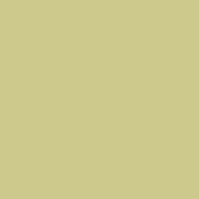 Thorndown Wood Paint 2.5 Litres - Rhyne Green - Solid swatch