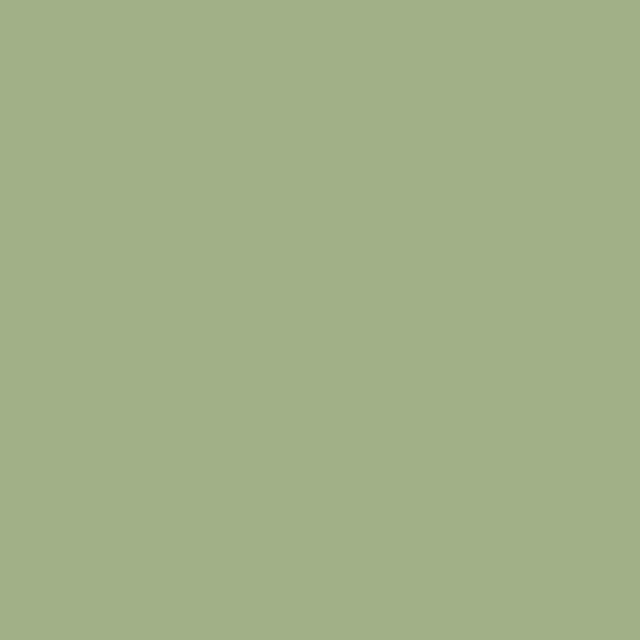 Thorndown Wood Paint 2.5 Litres - Sedge Green - Solid swatch