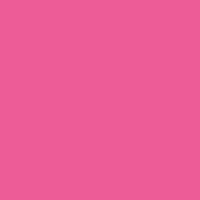 Protek Royal Exterior Paint 125ml - Flamingo Pink Colour Swatch