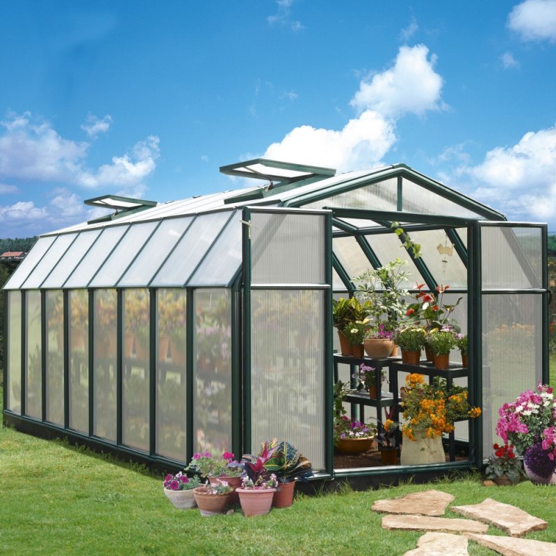 8x16 Palram Canopia Hobby Gardener Greenhouse - in situ, angle view, doors open