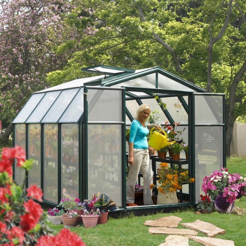 8x8 Palram Canopia Hobby Gardener Greenhouse - in situ, angle view, doors open