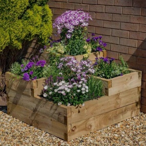 Grow Your Own